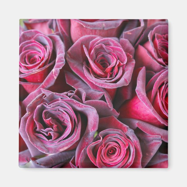 Velvet Beauty Magnet (Front)