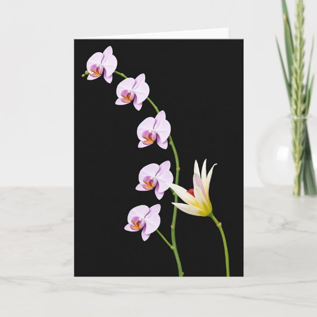 Velvet Bloom Flower Card (Front)