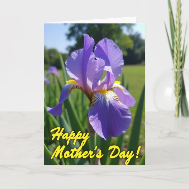 Velvet Bloom Pattern Card (Front)