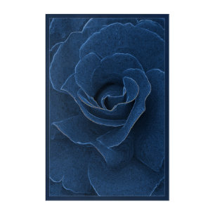 Velvet blue rose acrylic print