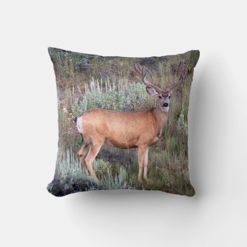 Velvet buck throw pillow
