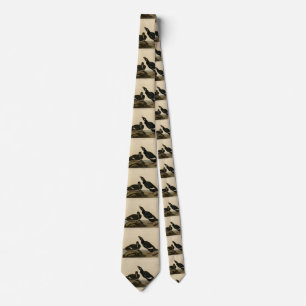 Velvet Duck - from Audubon's Birds of America Neck Tie