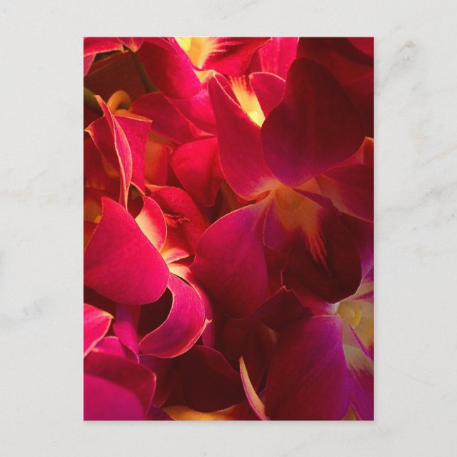 Velvet Postcard (Front)