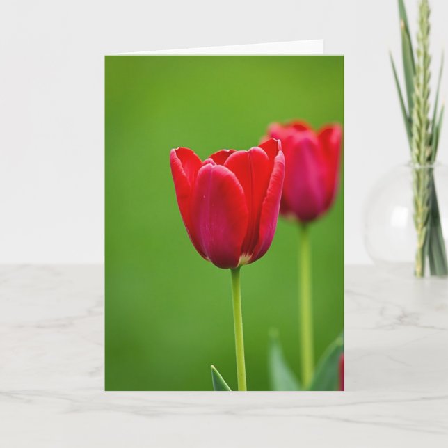 Velvet Red Flower Mothers Day Card (Front)