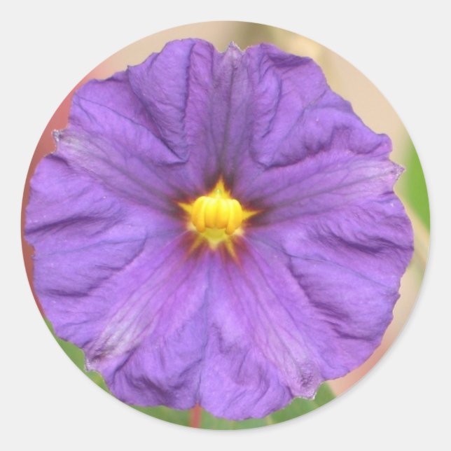 Velvet Robe Flower Classic Round Sticker (Front)