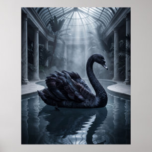Velvet Swan Conservatory Poster