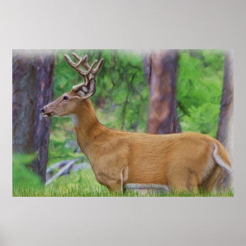 Velvet Whitetail Deer Buck Poster