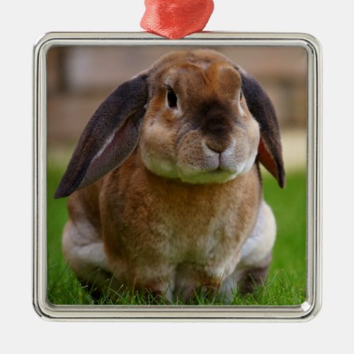 Velveteen Lop Bunny Rabbit Metal Ornament