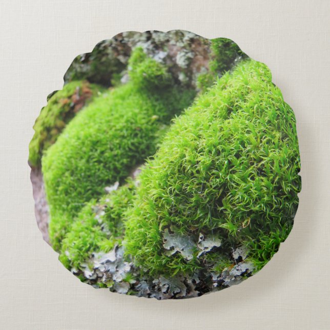 velvety soft moss cushions (Front)