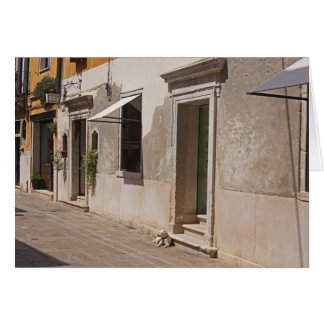 Venetian Dog Cards