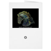 Venetian Murano Glass Horse (Back)