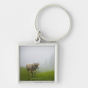 veneto italy keychain