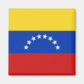 Venezuela Flag Magnet