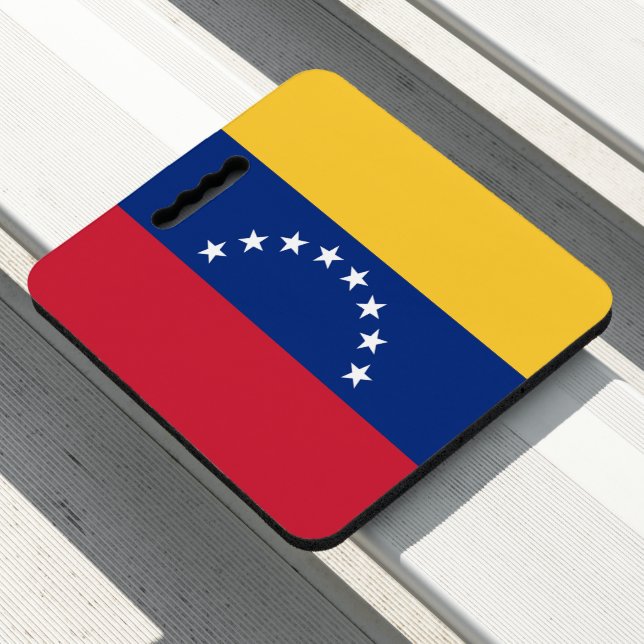 Venezuela flag seat cushion (In Situ)