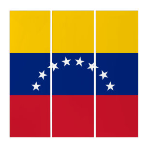 Venezuela flag triptych