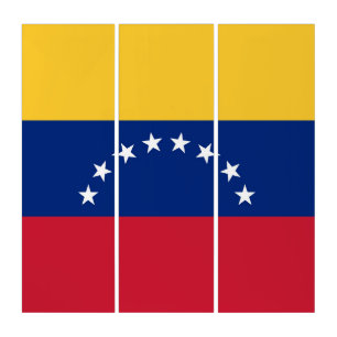 Venezuela flag triptych