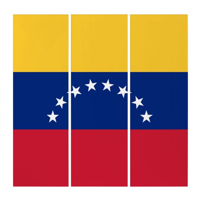 Venezuela flag triptych (Front)