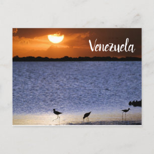 Venezuela Sunset Postcard