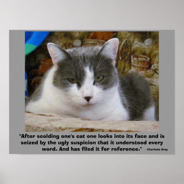 vengeful Grumpy kitty with - Charlotte Gray Quote Poster (Front)