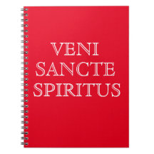 Veni Sancte Spiritus Prayer Journal
