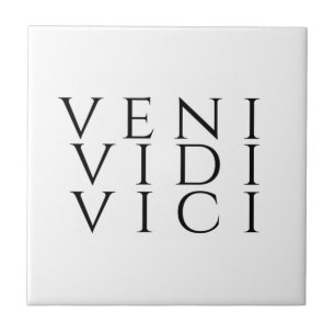 Veni Vidi Vici Coaster