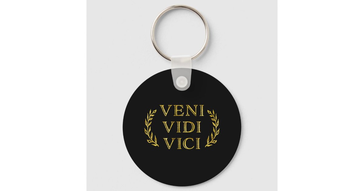 Veni vidi vici! - Funny  Veni vidi vici, Funny pictures, Funny