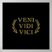 Veni vidi vici! - Funny  Veni vidi vici, Funny pictures, Funny