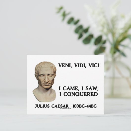 Veni, Vidi, Vici - I Came, I Saw, I Conquered (Standing Front)