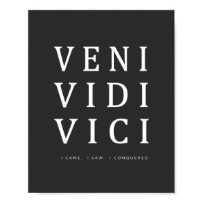 Veni Vidi Vici | Inspirational Quote Poster