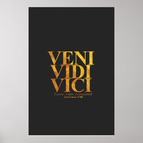 Veni Vidi Vici Julius Caesar Latin Quote Poster