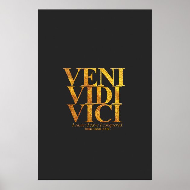 veni vidi vici latin phrases