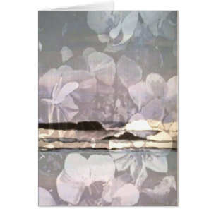 VenicBeach Orchid Surf Giftcard Cards