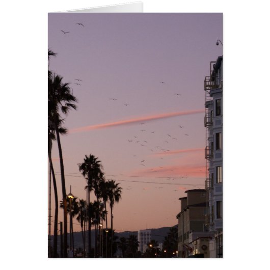 Venice beach cards (Front)