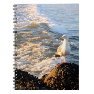 Venice Beach Seagull Notebook