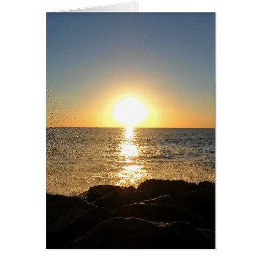 Venice Beach Sunset (Front)