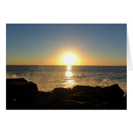 Venice Beach Sunset (Front Horizontal)