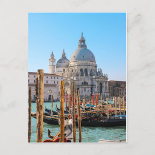 Venice Gondolas Postcard