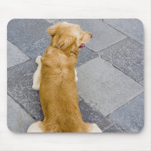 Venice, Italy. Mouse Pad (Front)
