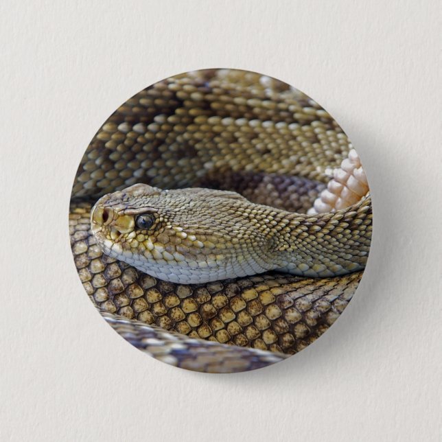 Venomous Rattle Snake Close Up Button (Front)