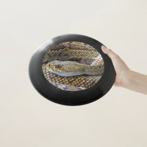 Venomous Rattle Snake Close Up Wham_O Frisbee
