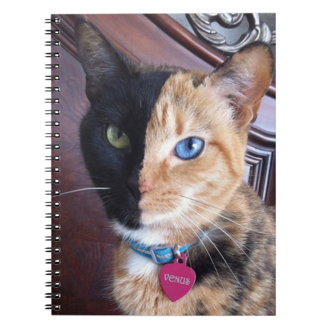 Venus Cat spiral notebook (Front)