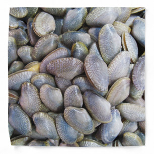 Venus Clam [หอยลาย] Bandana