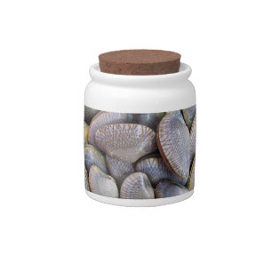 Venus Clam [หอยลาย] Candy Jar
