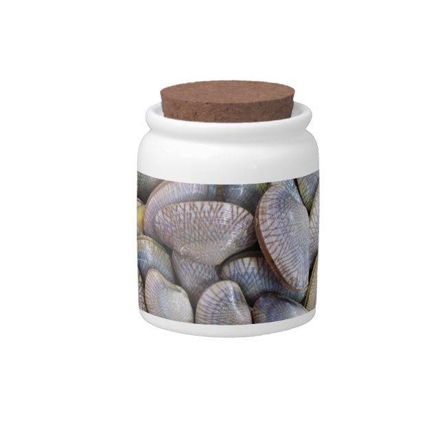 Venus Clam [หอยลาย] Candy Jar (Front)