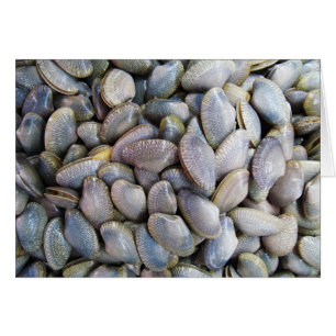 Venus Clam [หอยลาย] Card