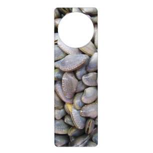 Venus Clam [หอยลาย] Door Hanger