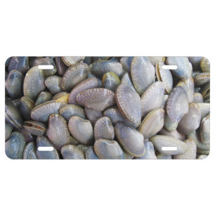 Venus Clam [หอยลาย] License Plate