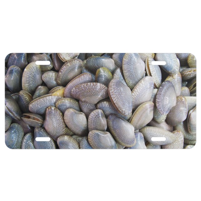 Venus Clam [หอยลาย] License Plate (Front)