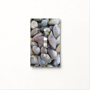 Venus Clam [หอยลาย] Light Switch Cover