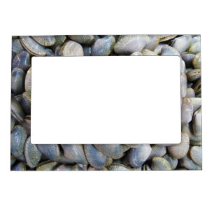 Venus Clam [หอยลาย] Magnetic Frame